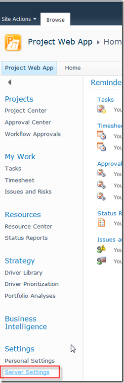 Enterprise Custom Fields in MS PROJECT SERVER 2010 | Nenad Trajkovski